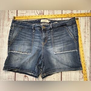 Women’s Torrid Denim Shorts